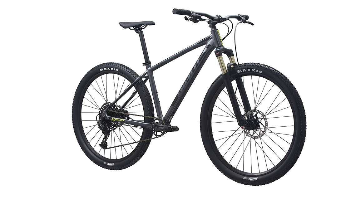 talon 1 29er 2020