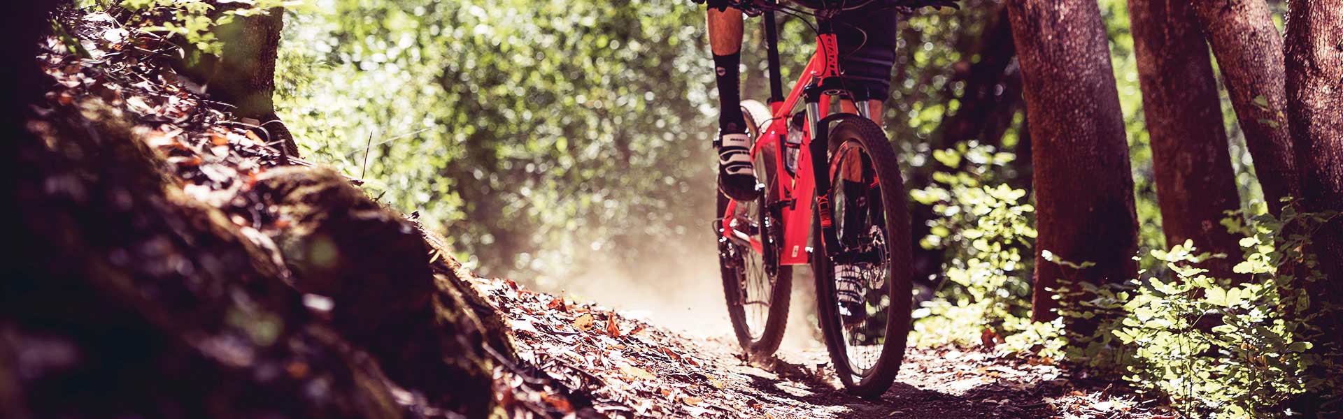 Off-Road XC Sport