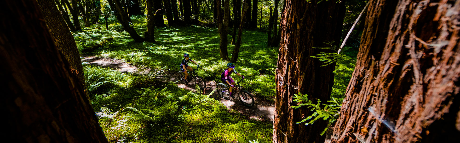 Off-Road Competition / XC