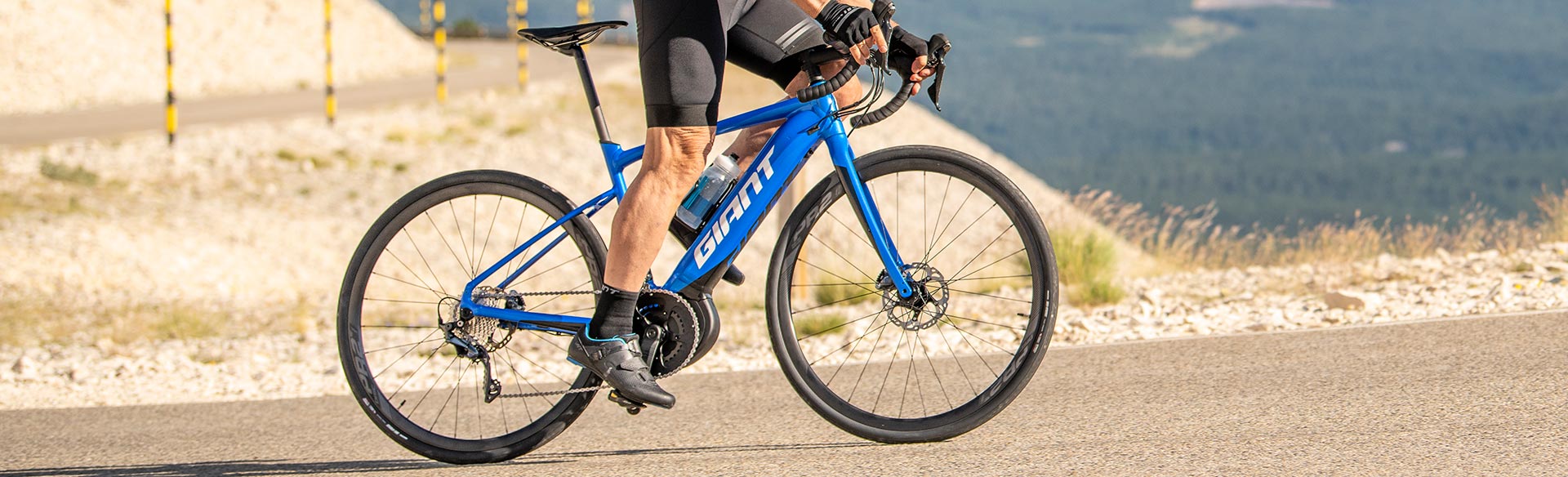 giant bicycles 2020 models