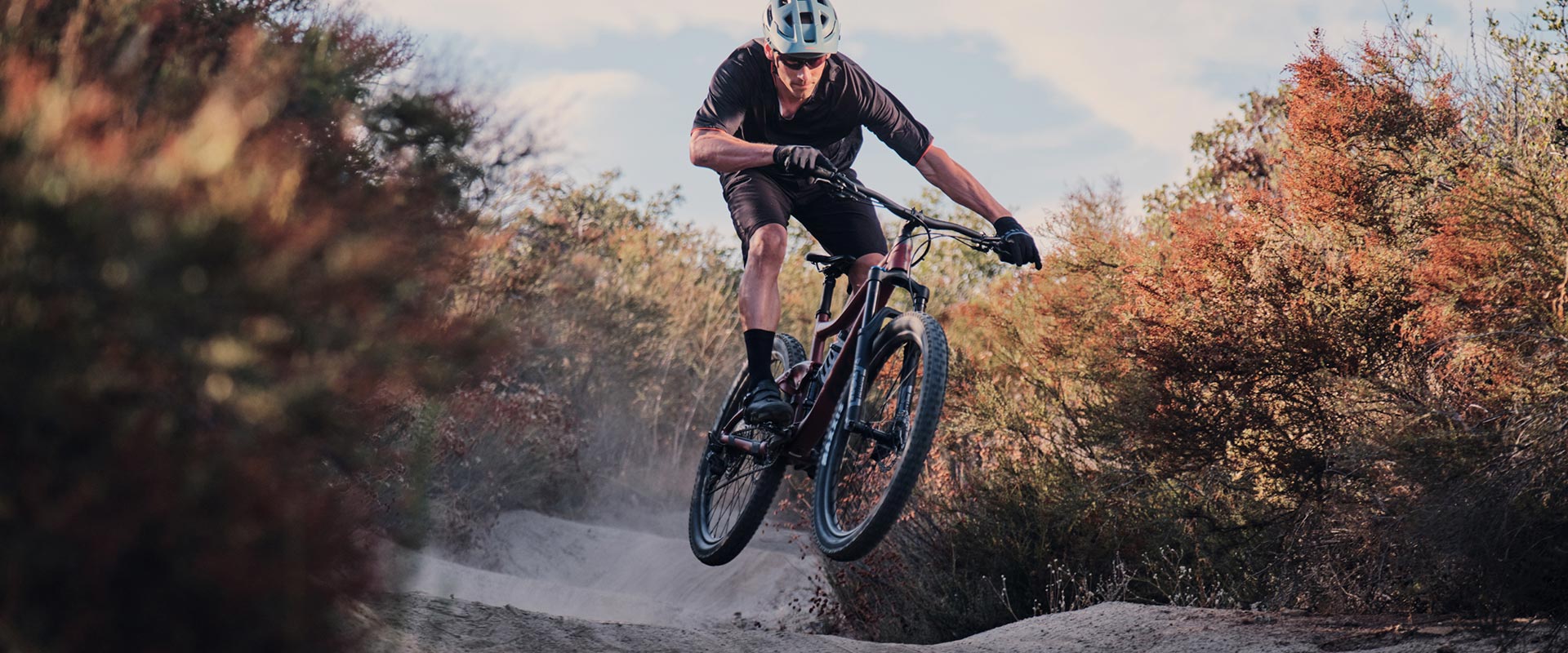 giant girls mountain bike