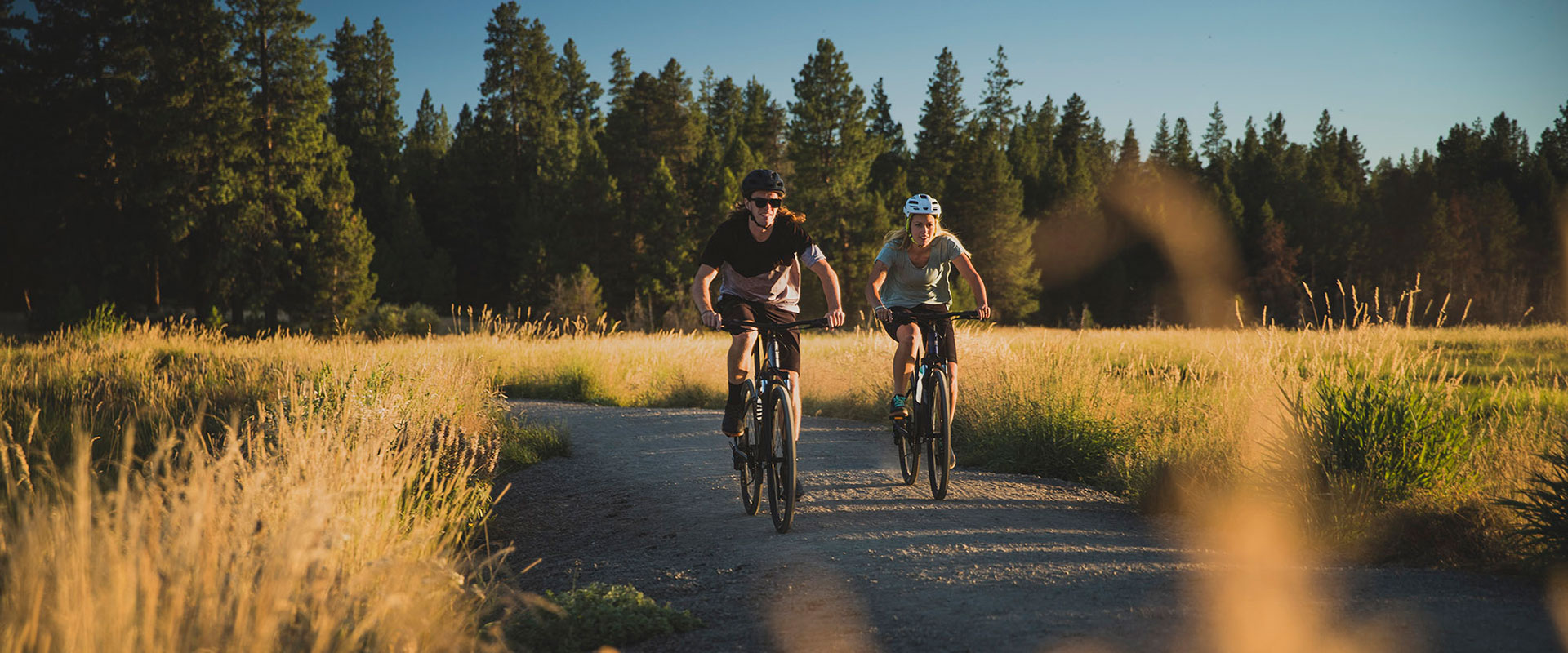 giant roam bike