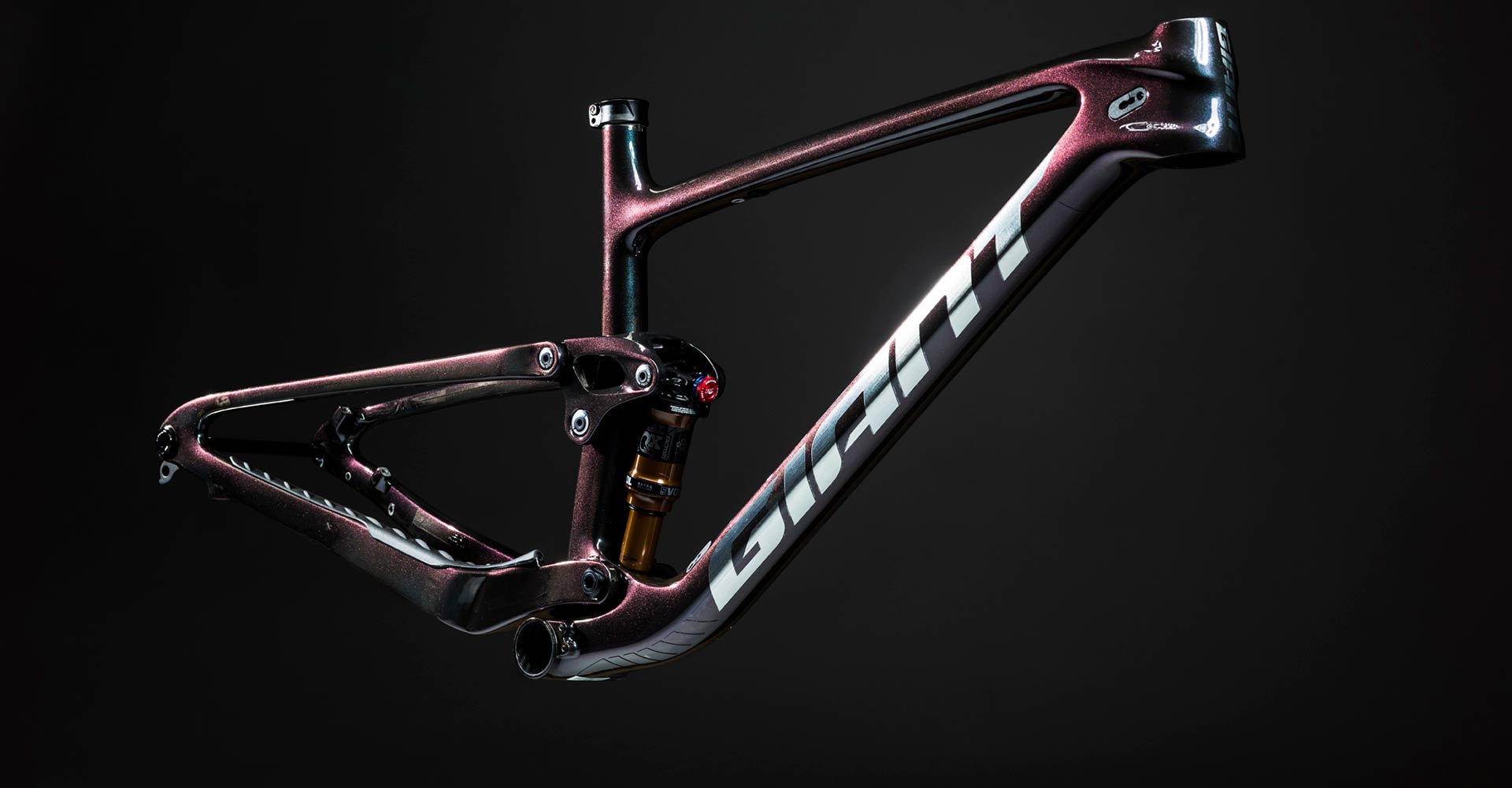 Anthem Advanced Pro 29 Frame