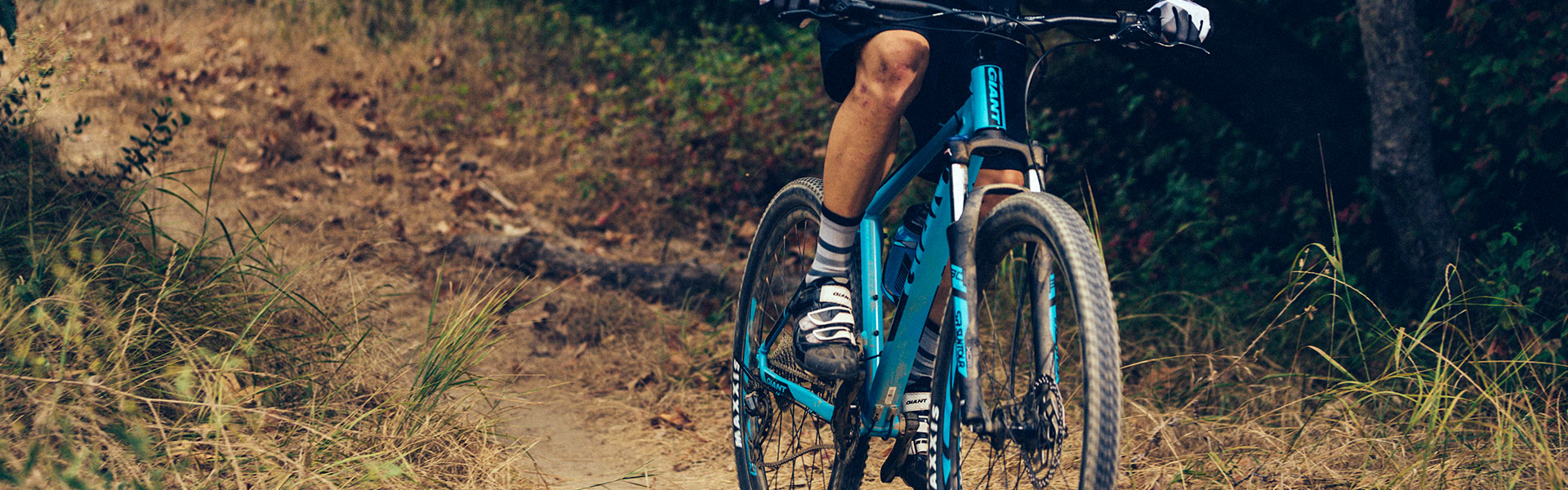ignore Microcomputer skull Talon 29 (2019) | Giant Bicycles US
