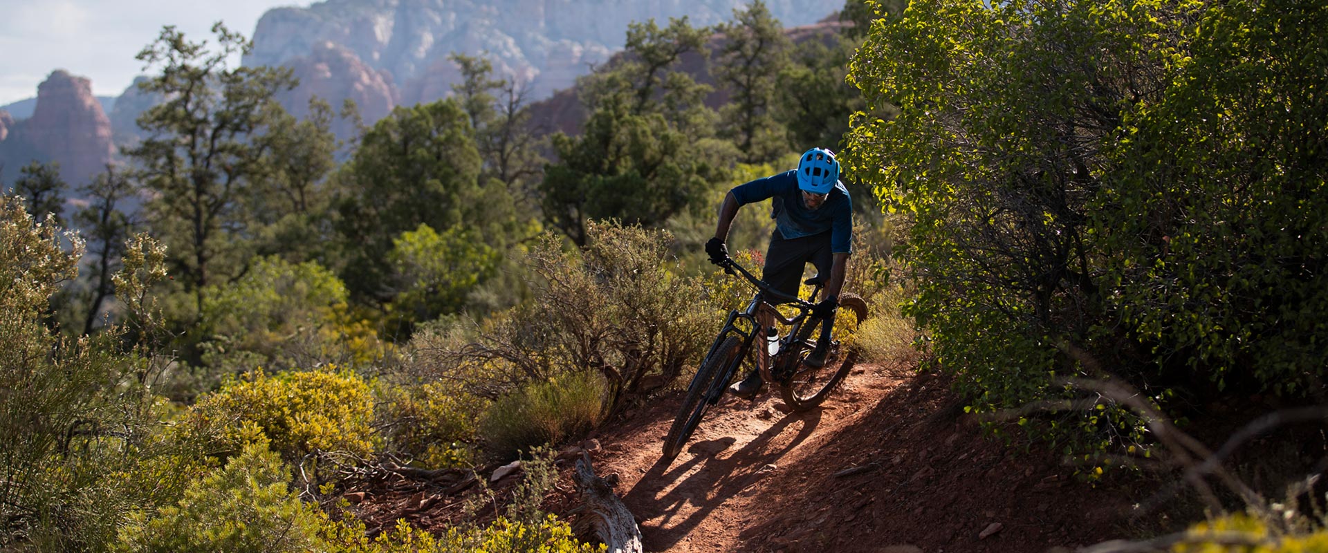 giant mtb trance