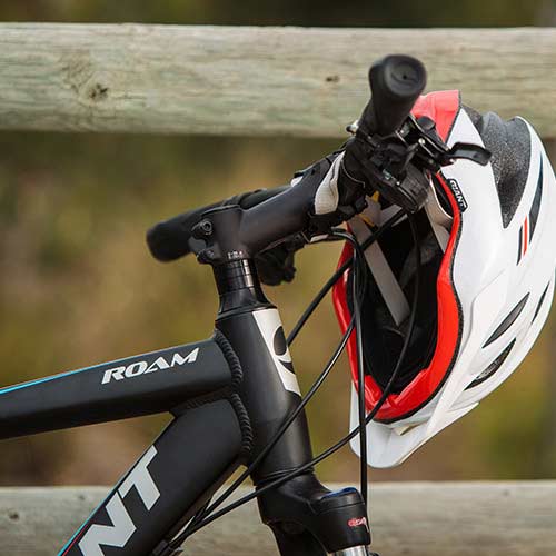 Roam 3 16 Giant Bicycles United States