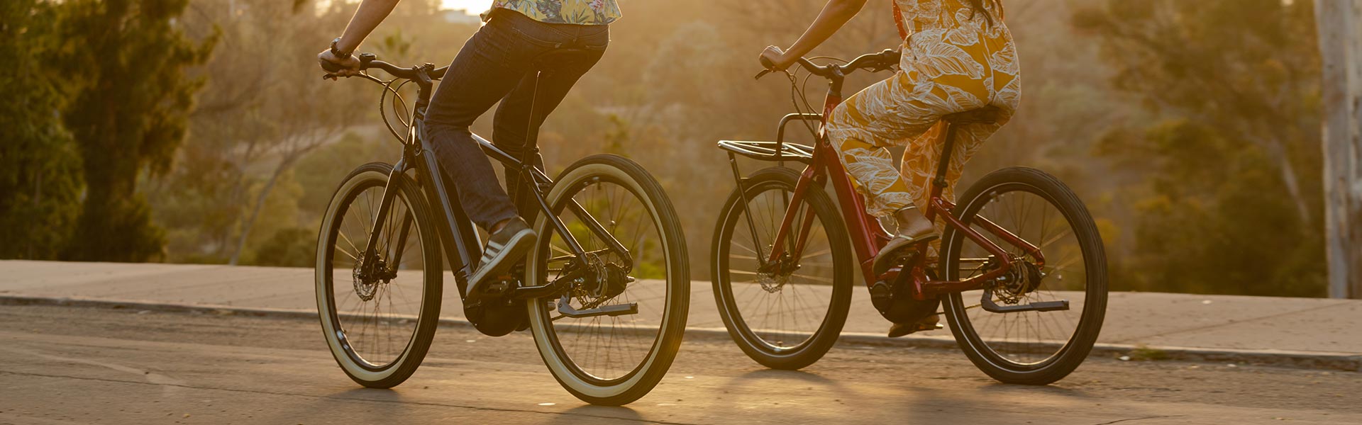 Momentum Electric Bikes