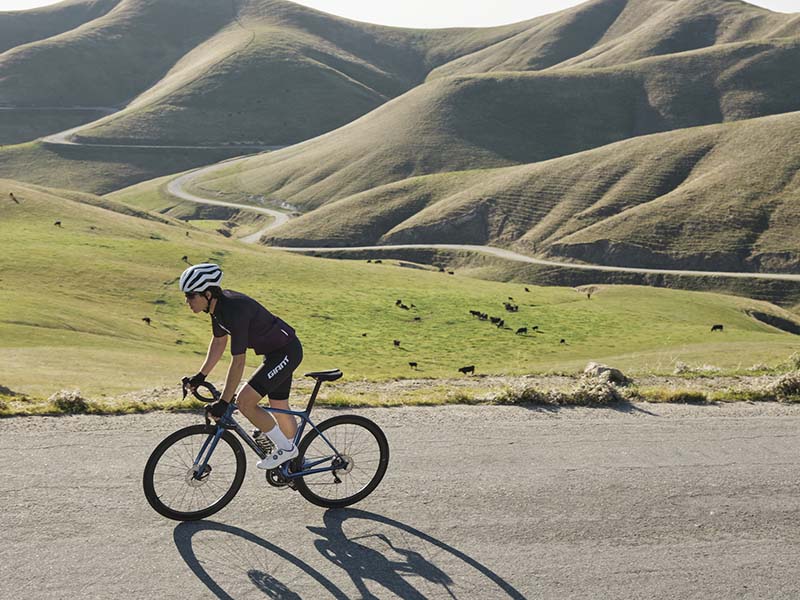 A Guide To Choosing Your First Road Bike  Giant Bicycles UK