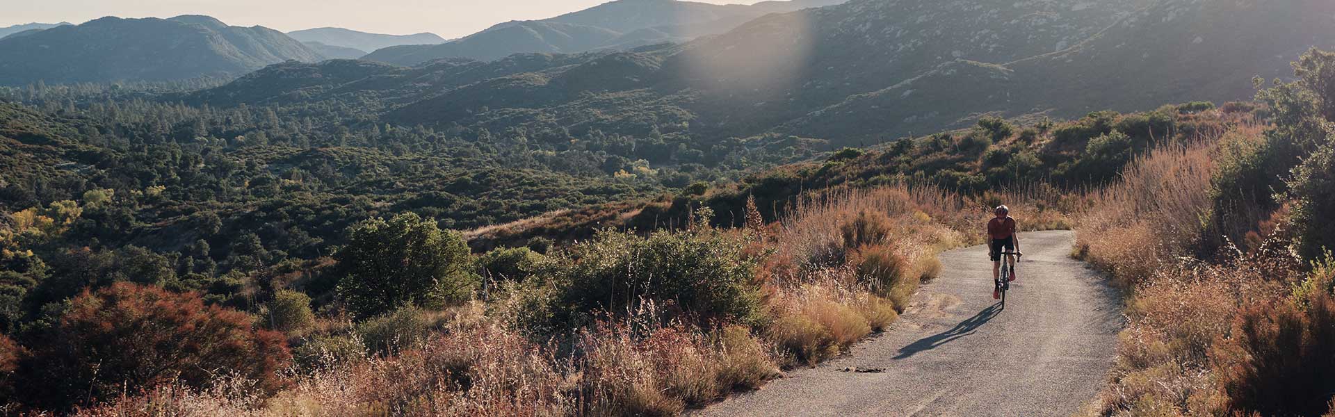 An Ode to Biking