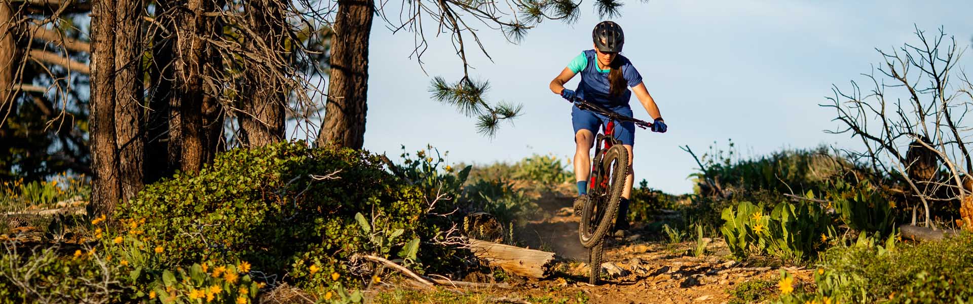 Fully MTB's