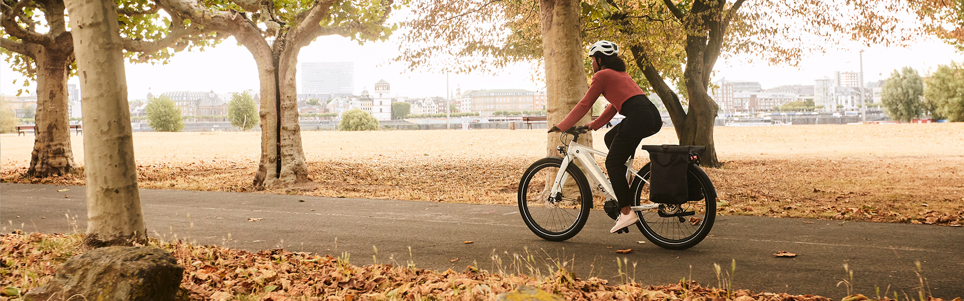 Last Remaining 2020 Bikes