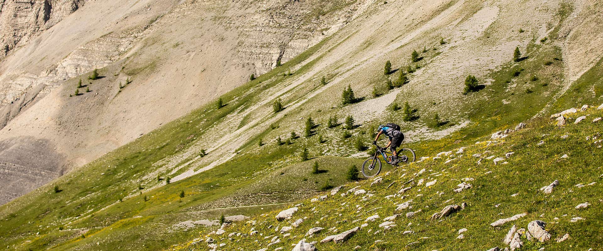 ride life giant